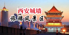 后入式在线内射美女视频中国陕西-西安城墙旅游风景区